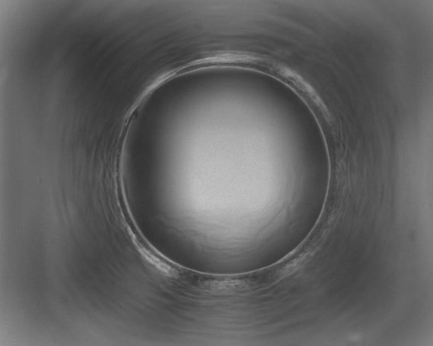 X0000084011425200702161150