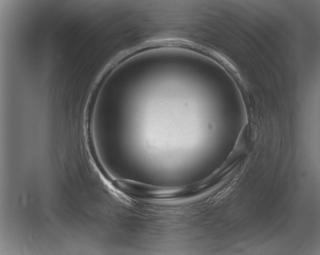 X0000084011430200702161150