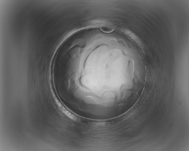 X0000084011431200702161150