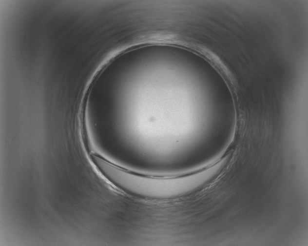 X0000084011432200702161150