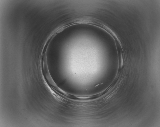 X0000084011434200702161150