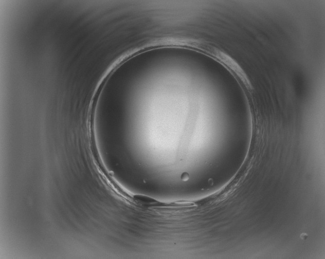 X0000084011436200702161150