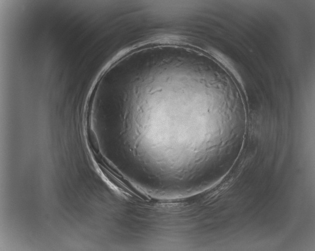 X0000084011437200702161150