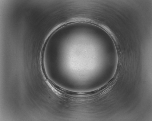 X0000084011438200702161150