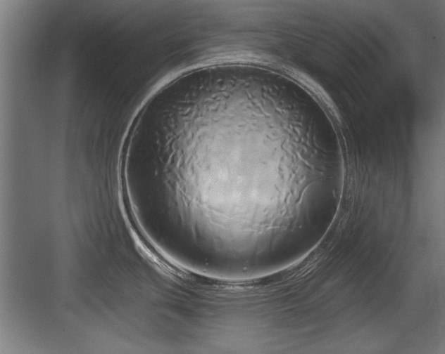 X0000084011439200702161150