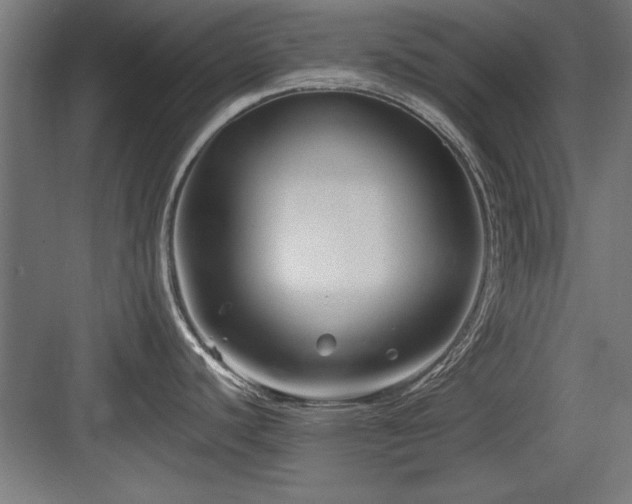 X0000084011440200702161150