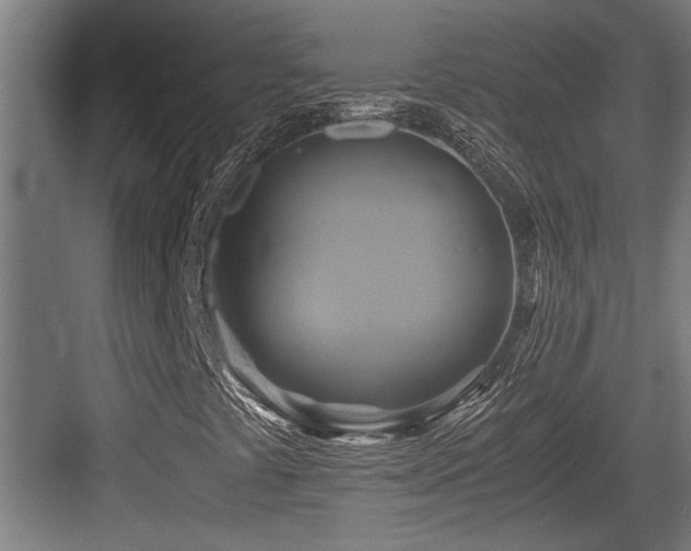 X0000084011441200702161149