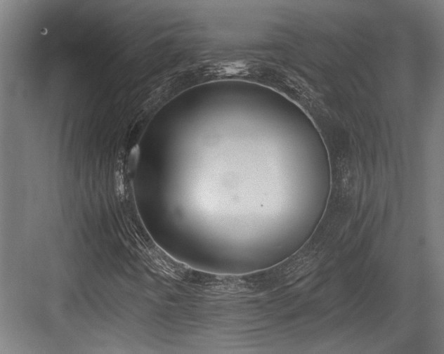 X0000084011442200702161149