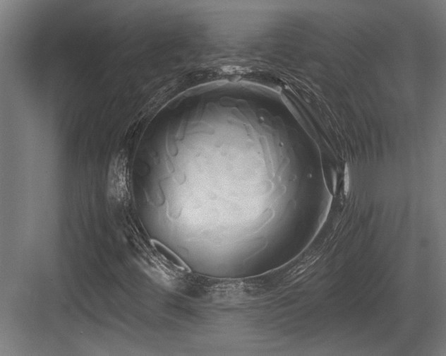 X0000084011444200702161149