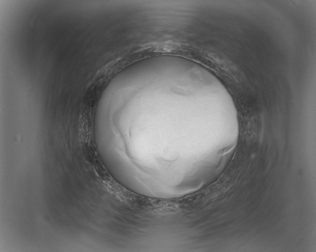 X0000084011446200702161149