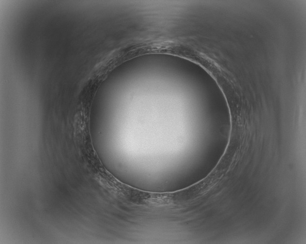 X0000084011447200702161149