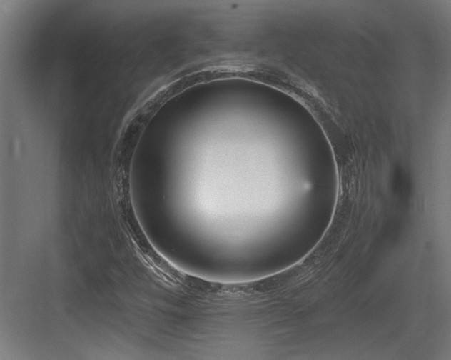 X0000084011448200702161149