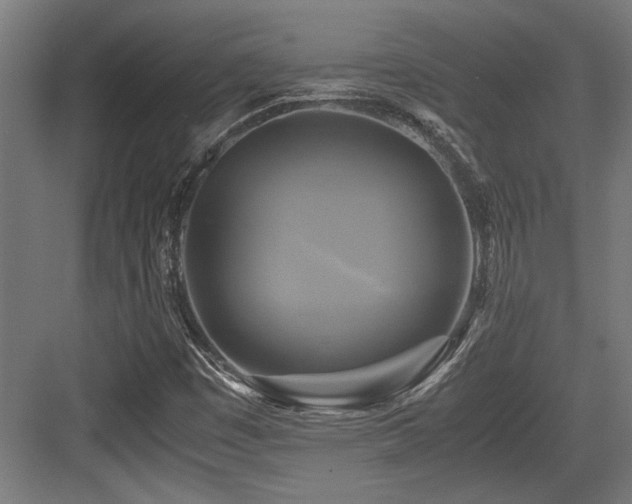 X0000084011449200702161149