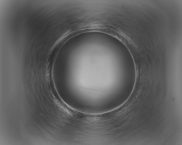 X0000084011450200702161149