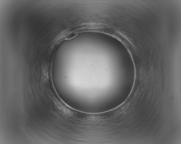 X0000084011451200702161149
