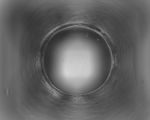 X0000084011452200702161149