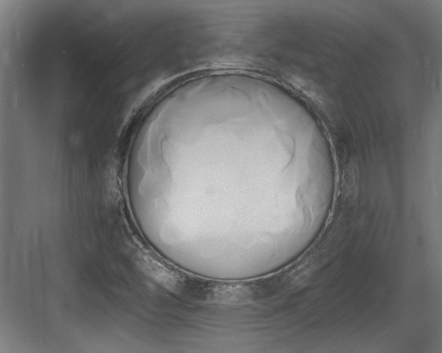 X0000084011454200702161149