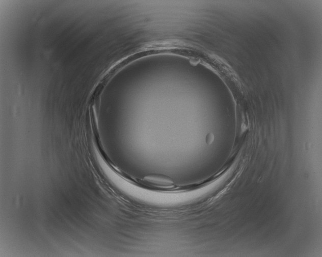 X0000084011457200702161149