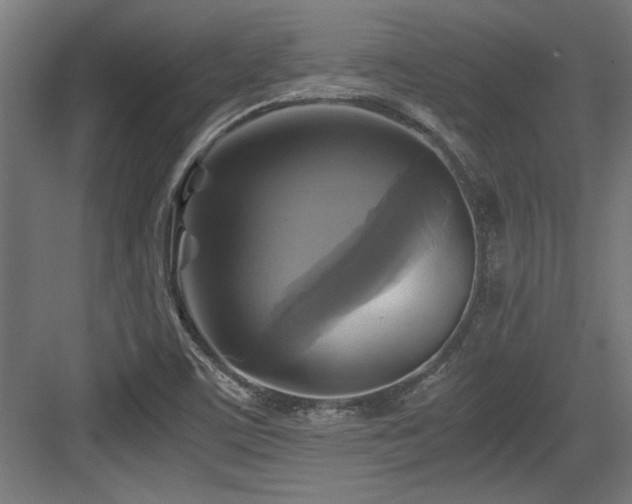 X0000084011459200702161149