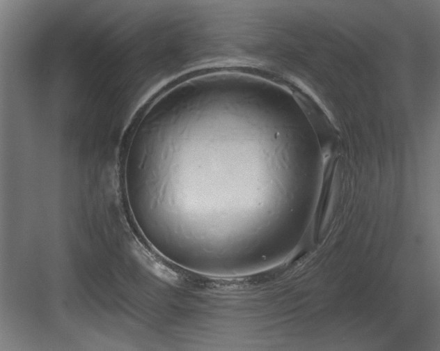 X0000084011460200702161149