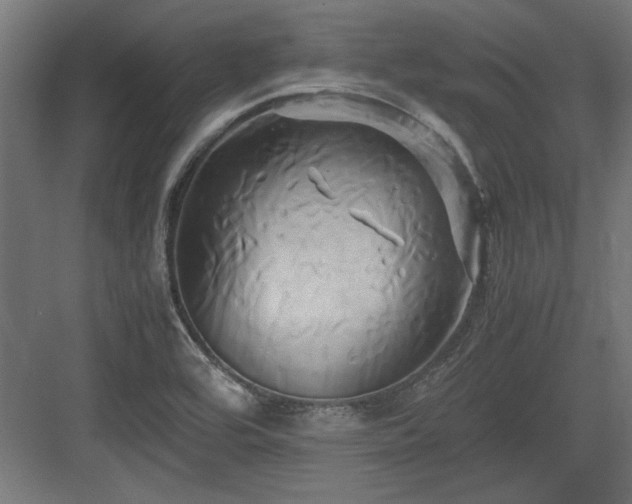 X0000084011464200702161149