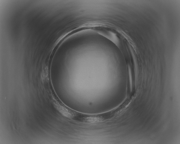 X0000084011465200702161149