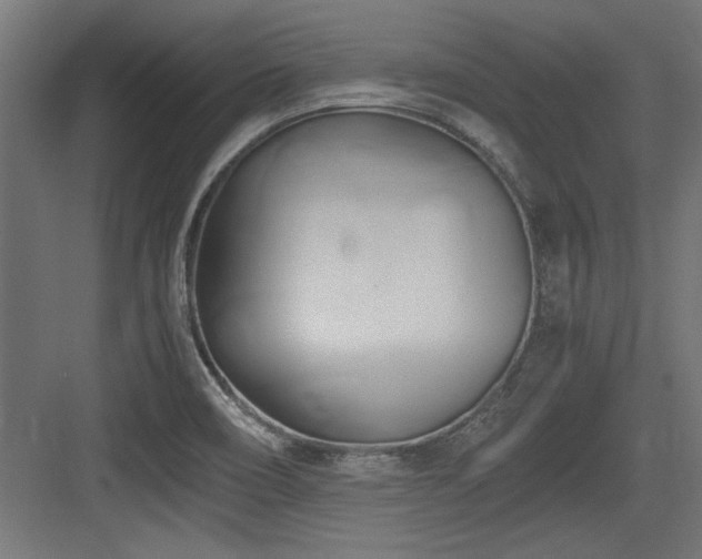 X0000084011466200702161149
