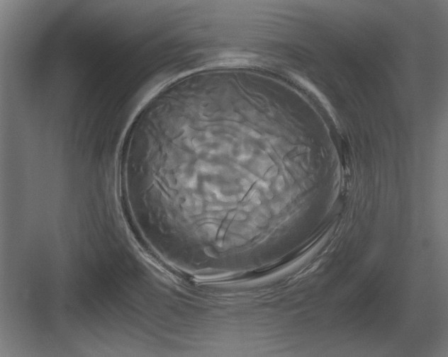 X0000084011467200702161149