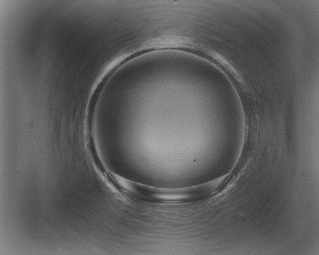 X0000084011469200702161149