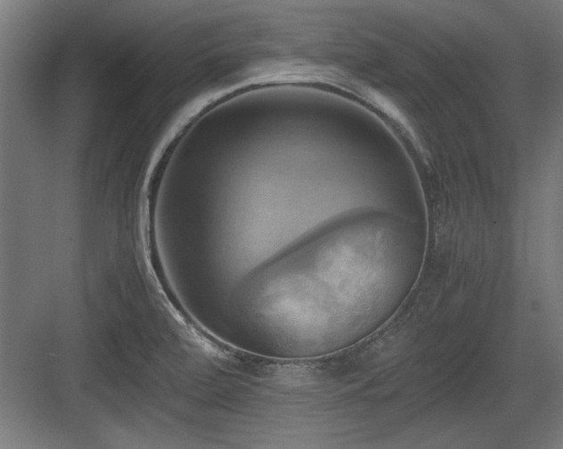 X0000084011472200702161149