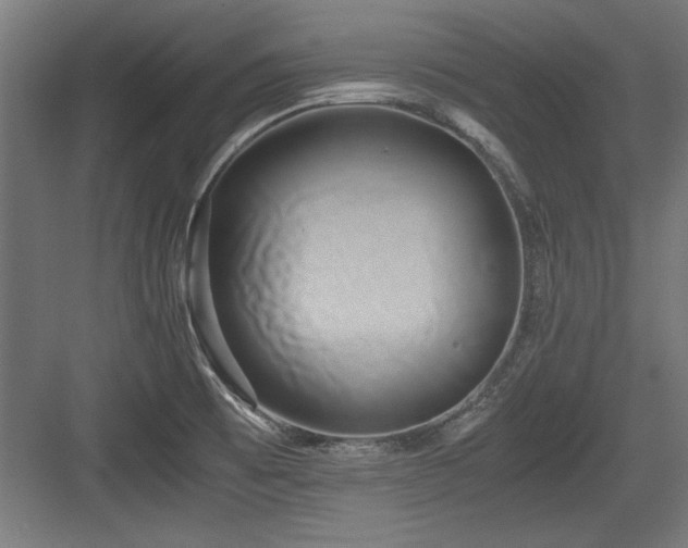 X0000084011473200702161149