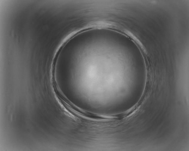 X0000084011477200702161149