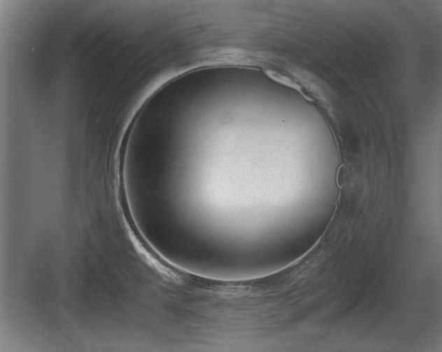 X0000084011479200702161148