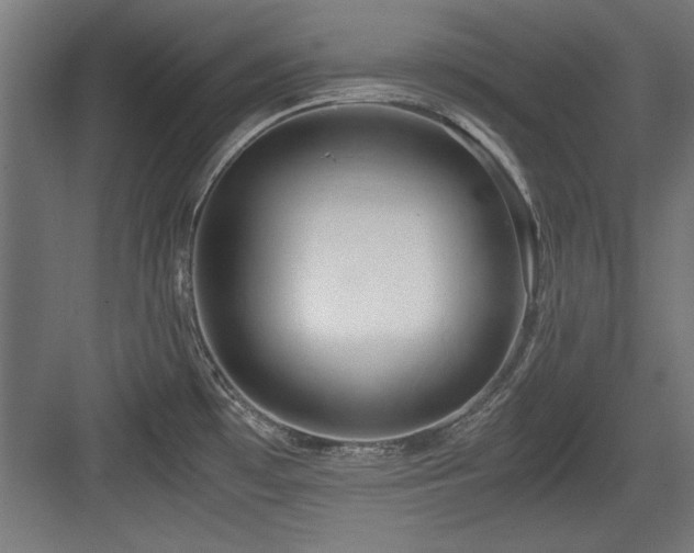 X0000084011481200702161148
