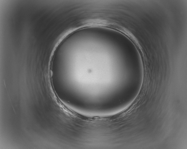 X0000084011488200702161148