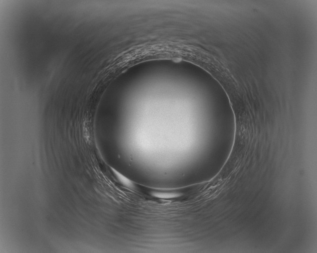 X0000084011490200702161148