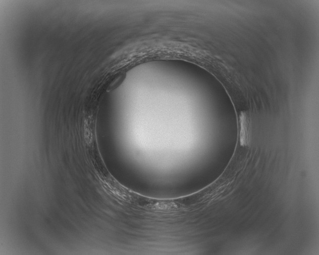 X0000084011491200702161148