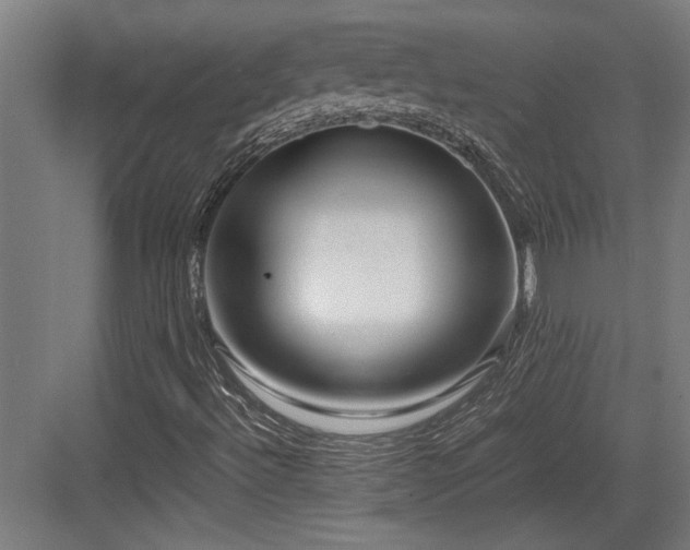 X0000084011492200702161148