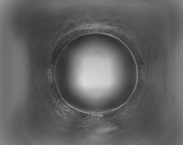 X0000084011493200702161148