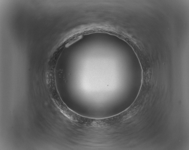 X0000084011496200702161148