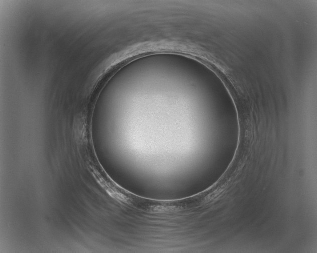 X0000084011499200702161148