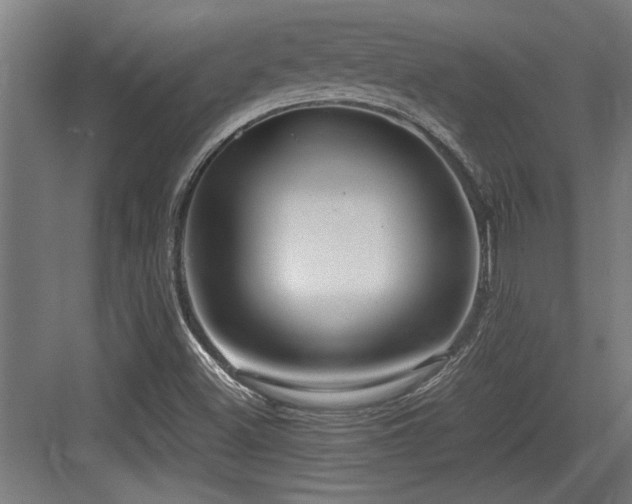 X0000084011500200702161148