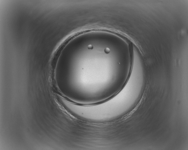 X0000084011502200702161148