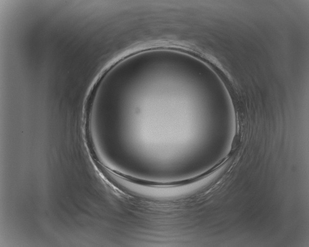 X0000084011508200702161148