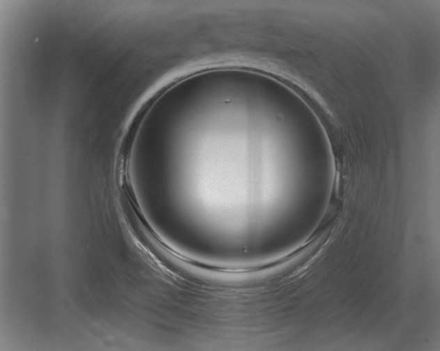 X0000084011510200702161148