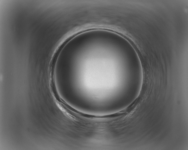 X0000084011511200702161148