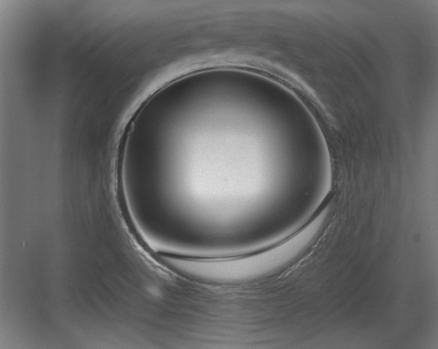 X0000084011512200702161148
