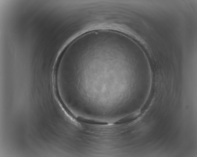 X0000084011517200702161148
