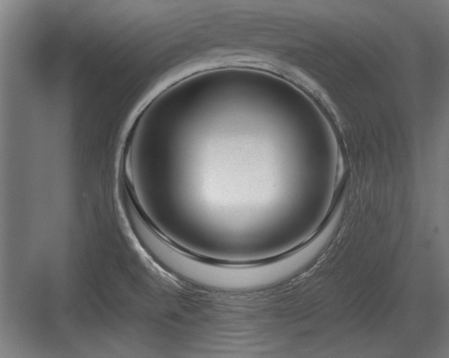 X0000084011520200702161148