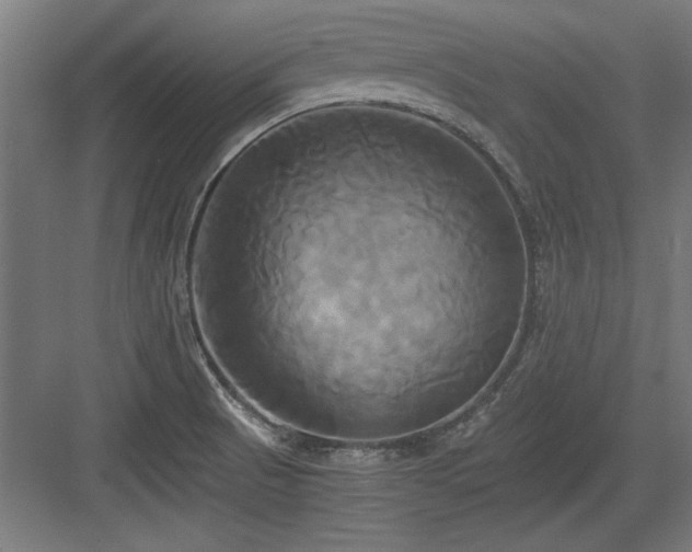 X0000084011521200702161148